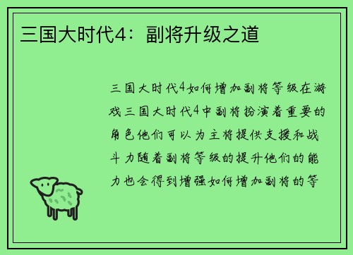 三国大时代4：副将升级之道